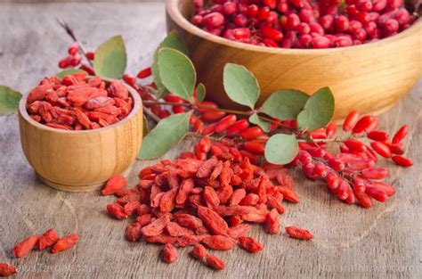 barberry juice for diabetics.